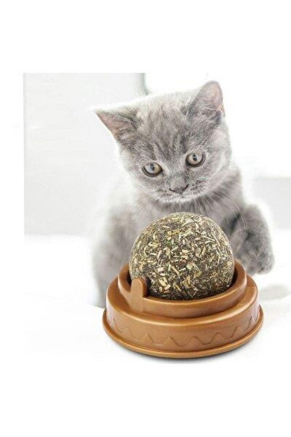 Catnipli Doğal Kedi Yalama Topu 6 Cm Yapışkanlı - 2