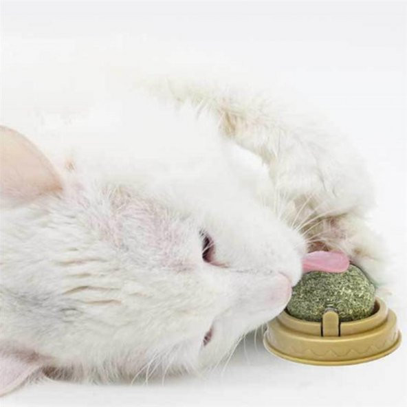Catnipli Doğal Kedi Yalama Topu 6 Cm Yapışkanlı - 5