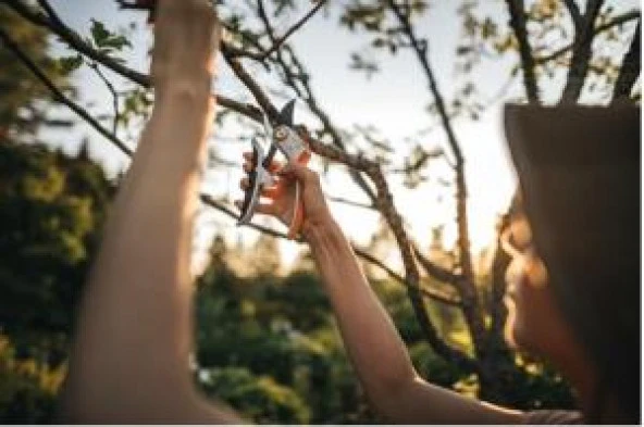 Fiskars Bypass P751 Plus Metal Budama Makası 1057172 - 2