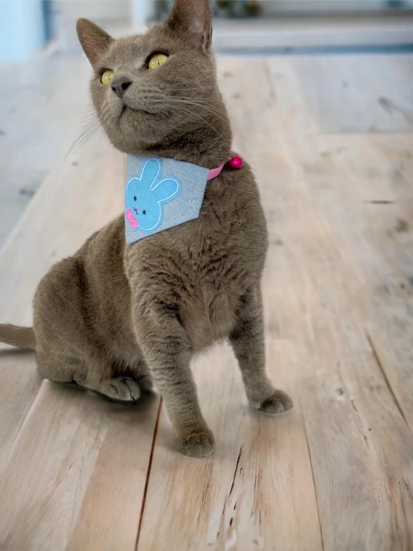 Blue Bunny Kedi Bandana, Fular, Kedi Kıyafeti Kedi Elbisesi, Kedi Tasması - 3