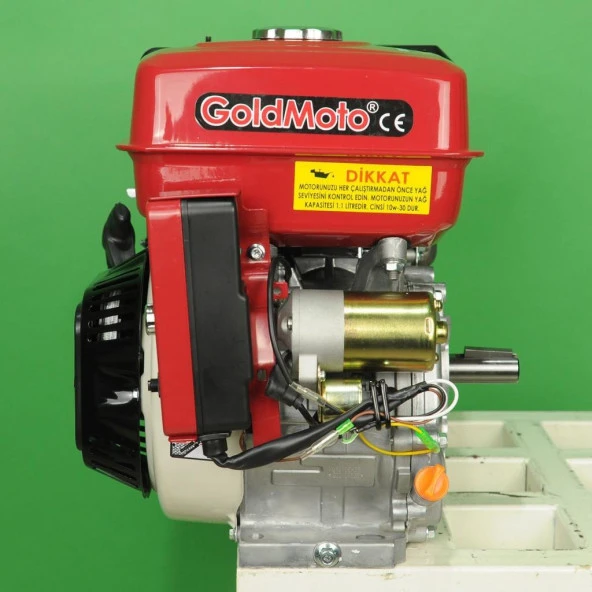 GoldMoto GM270E Benzinli Motor 9 Hp Marşlı Krank Mili Kamalı - Resim 4