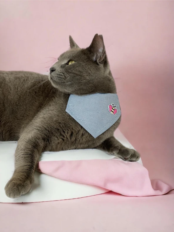 Butterfly Kedi Bandana, Fular, Kedi Kıyafeti Kedi Elbisesi, Kedi Tasması