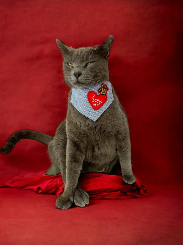Love You Kedi Bandana, Fular, Kedi Kıyafeti Kedi Elbisesi, Kedi Tasması - 3