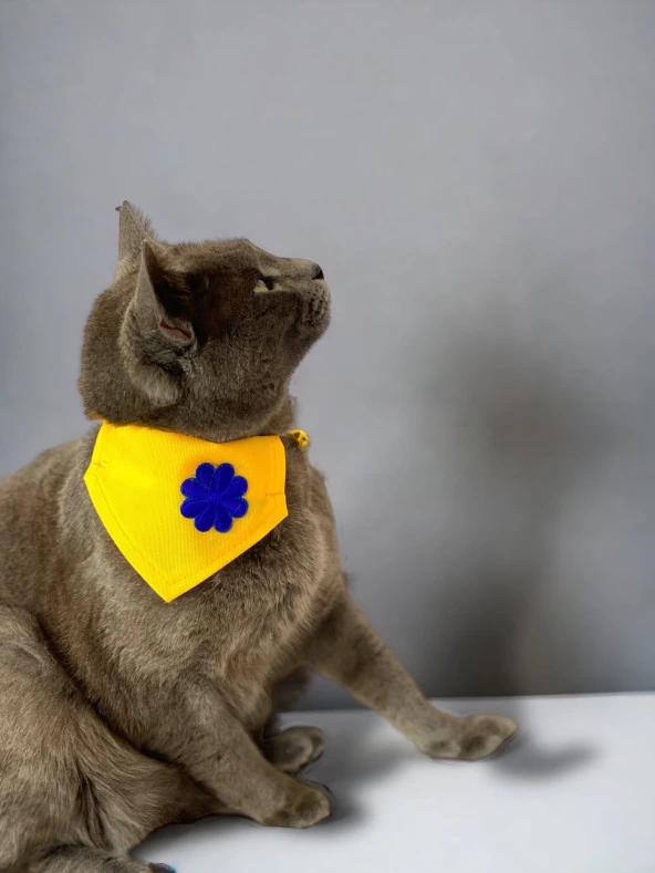 Yellow Blue Kedi Bandana, Fular, Kedi Kıyafeti Kedi Elbisesi, Kedi Tasması - 2