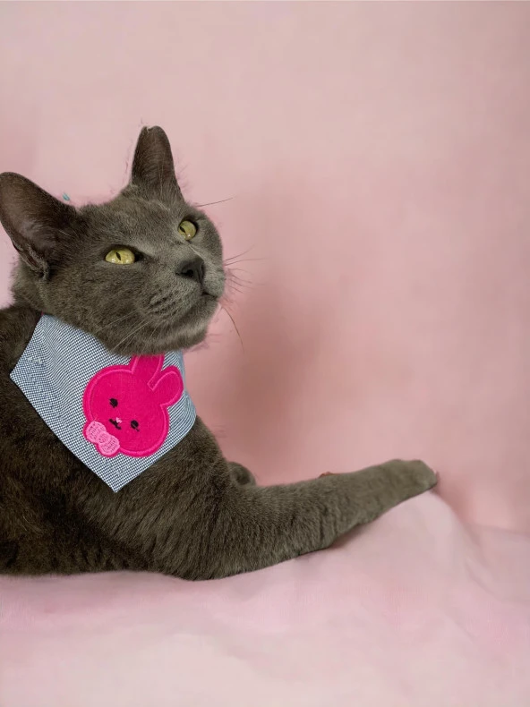 Pink Bunny Kedi Bandana, Fular, Kedi Kıyafeti Kedi Elbisesi, Kedi Tasması - 5