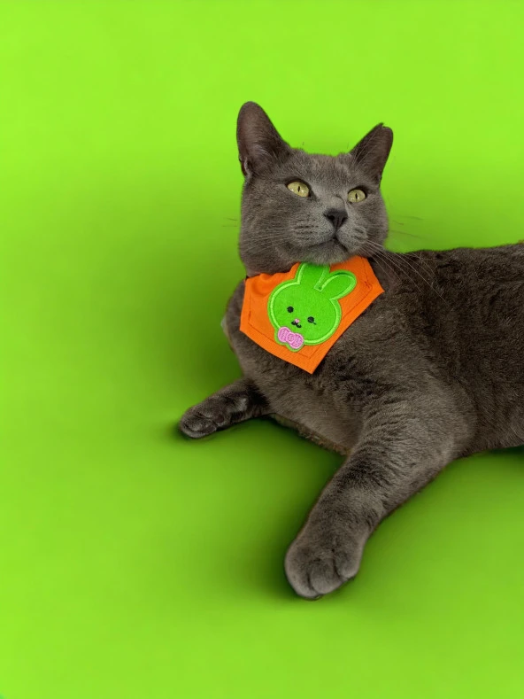 Green Bunny Kedi Bandana, Fular, Kedi Kıyafeti Kedi Elbisesi, Kedi Tasması - 4