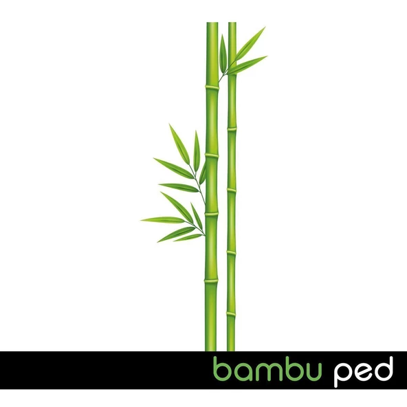 Ladyfit Bambu Ped Süper Gece 18 Adet + Günlük Ped Süper Normal 40 Adet - 3