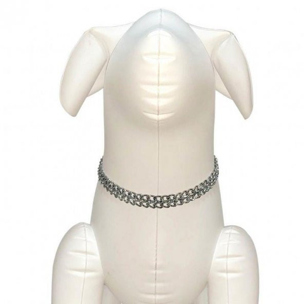 Nunbell İki Sıra Zincir Köpek Boyun Tasması 2 mm - 2