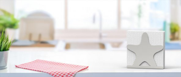 DENİZ YILDIZI TEMALI METAL PEÇETELİK GÜMÜŞ - 8