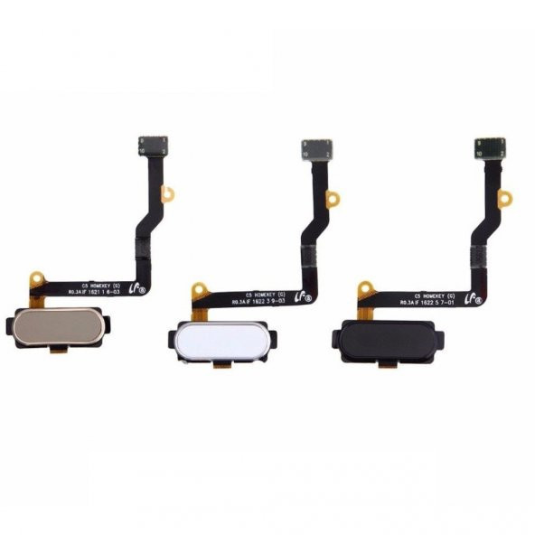 Samsung Galaxy C7 Pro C7010 Home Tuş Filmi Flex