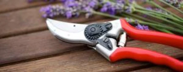 Felco 13 Budama Makası 21 cm Sağ-Sol El By-Pass - Resim 2