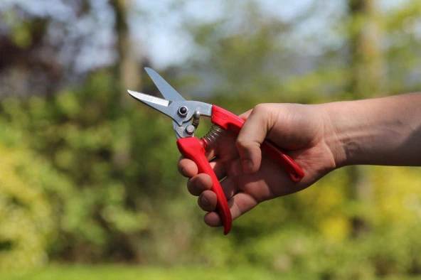 Ars 140 DX Budama Makası - Resim 5