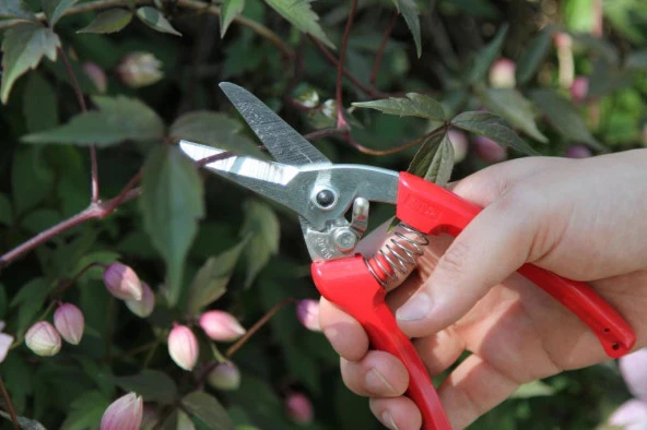 Ars 140 DX Budama Makası - Resim 6