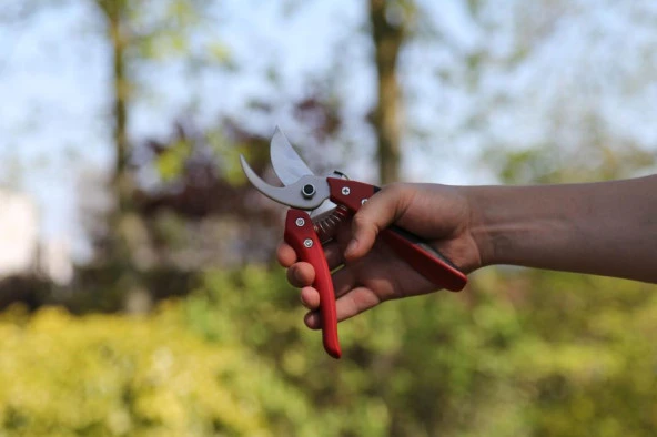 Ars CB-9 Budama Makası - Resim 6