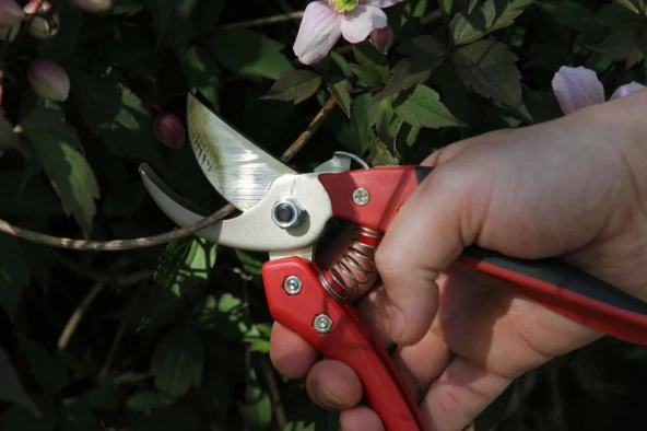 Ars CB-9 Budama Makası - Resim 7