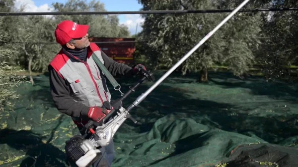 Cifarelli Sc800 Zeytin Silkeleme Zeytin Hasat Makinesi - 3