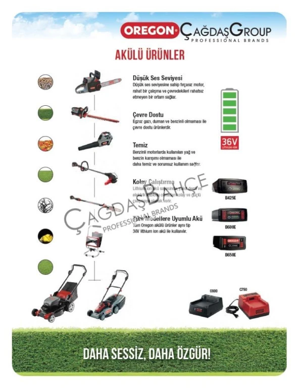 Oregon WL275 Aydınlatma Aşığı 5000K Akü Ve Elektrikle Çalışabilir - Resim 2