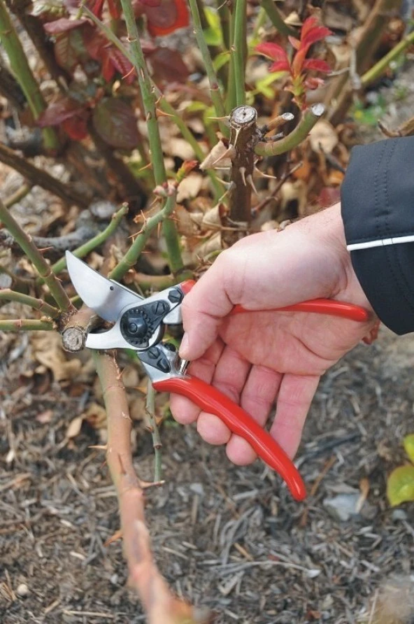 Felco 11 Budama Makası 21cm Sağ By-Pass * - Resim 3