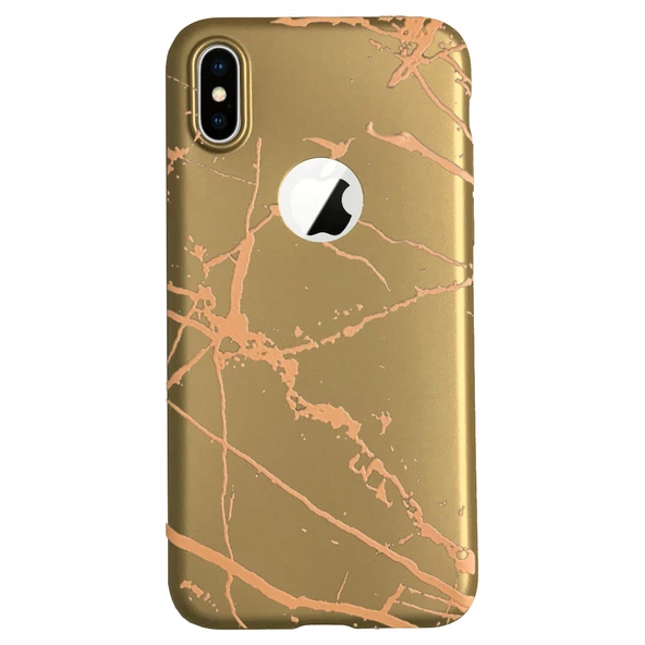 iPhone X/XS Fırça Desen Silikon Arka Kapak Gold - 2