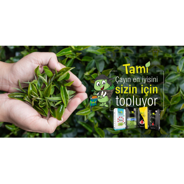 YEŞİL İNCİ GOLD ÇAY 5 KG - 3