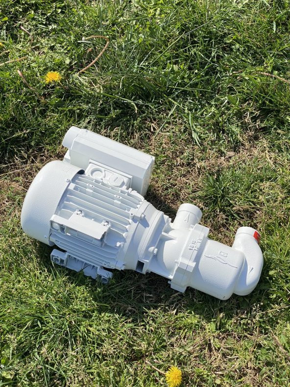 Gianneschi MV 44G Marine Pompa 230V 0,75kw 2.El - 7