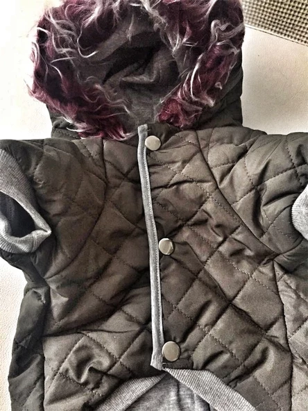 NEFTİ YEŞİL POOF CUTIE by Kemique - Köpek Montu - 5