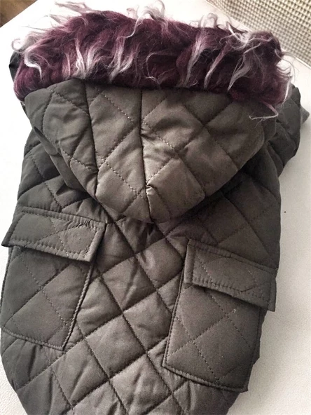 NEFTİ YEŞİL POOF CUTIE by Kemique - Köpek Montu - 4