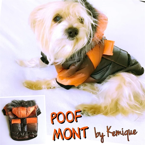 DEGRADE TURUNCU POOF BANG by Kemique Köpek Montu ürün görseli