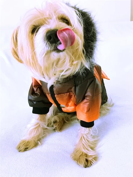 DEGRADE TURUNCU POOF BANG by Kemique Köpek Montu - Resim 2