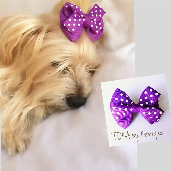 KÖPEK TOKASI  DINNER SERİSİ  LACİVERT - Resim 6