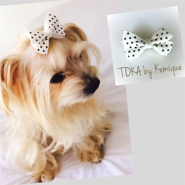 KÖPEK TOKASI  DINNER SERİSİ  LACİVERT - Resim 8