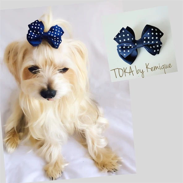 KÖPEK TOKASI  DINNER SERİSİ  KIRMIZI - Resim 5