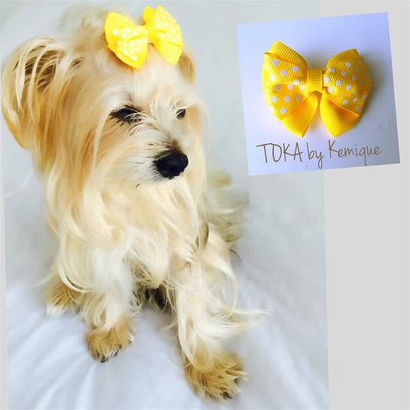 KÖPEK TOKASI  DINNER SERİSİ  KIRMIZI - Resim 6