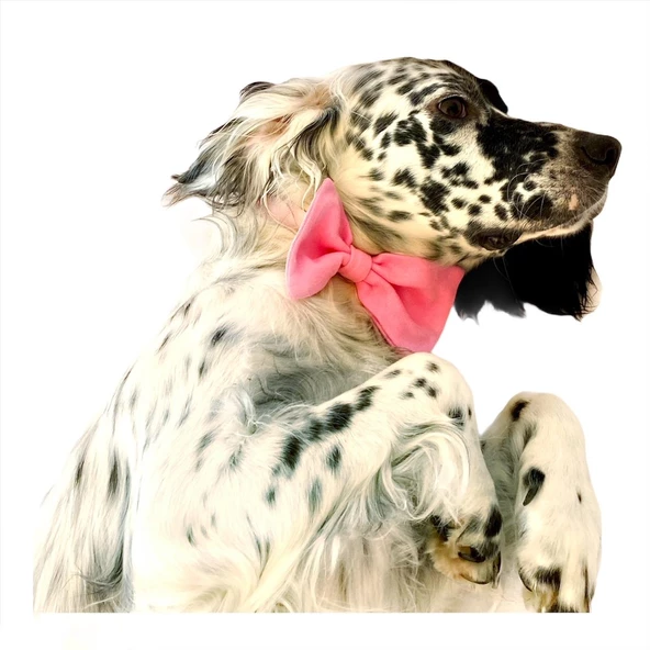 KEDİ VE KÖPEKLER İÇİN PAPYON  PEMBE - Resim 5