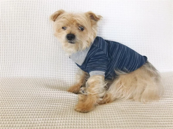 LACİVERT GRİ Polo Yaka Tişört Summer T Köpek Kıyafeti,Elbisesi - 7