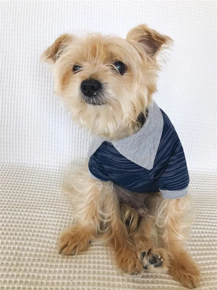 LACİVERT GRİ Polo Yaka Tişört Summer T Köpek Kıyafeti,Elbisesi - 2