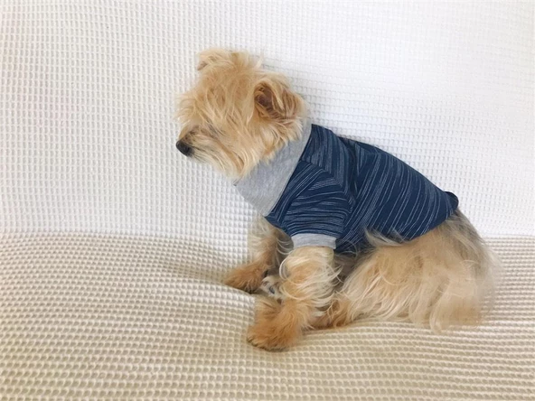 LACİVERT GRİ Polo Yaka Tişört Summer T Köpek Kıyafeti,Elbisesi - 9