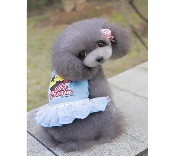 MAVİ ICE CREAM TÜTÜLÜ KÖPEK ELBİSESİ