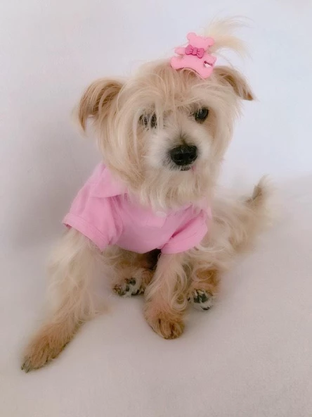 TOKA by Kemique TEDDY Serisi  SARI - 8