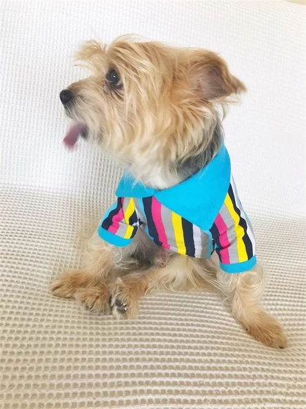 MAVİ GÖKKUŞAĞI Polo Yaka Tişört Summer T Köpek Kıyafeti,Elbisesi - 5