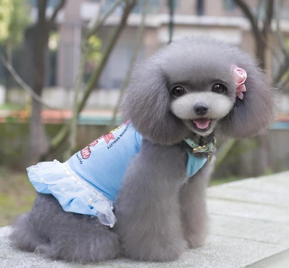 MAVİ ICE CREAM TÜTÜLÜ KÖPEK ELBİSESİ - 2