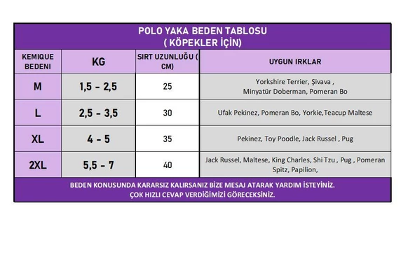 MAVİ GÖKKUŞAĞI Polo Yaka Tişört Summer T Köpek Kıyafeti,Elbisesi - 3