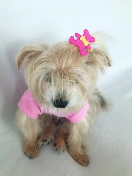 TOKA by Kemique TEDDY Serisi  SARI - 7