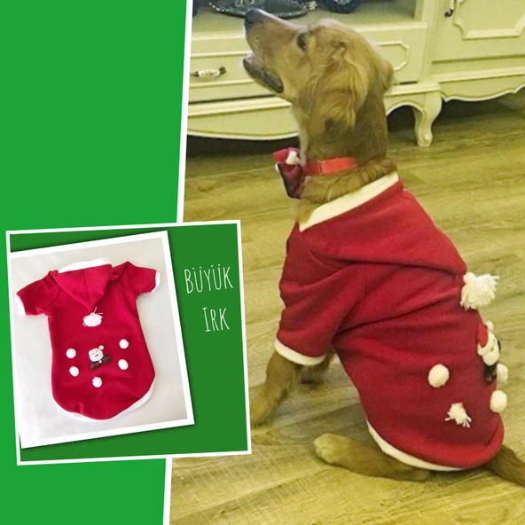 Santa Polar Yılbaşı Kıyafeti Orta ve Büyük Irk - 2