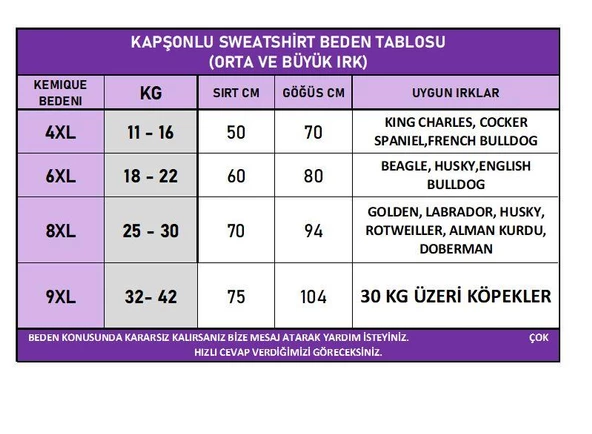 Santa Polar Yılbaşı Kıyafeti Orta ve Büyük Irk - 3