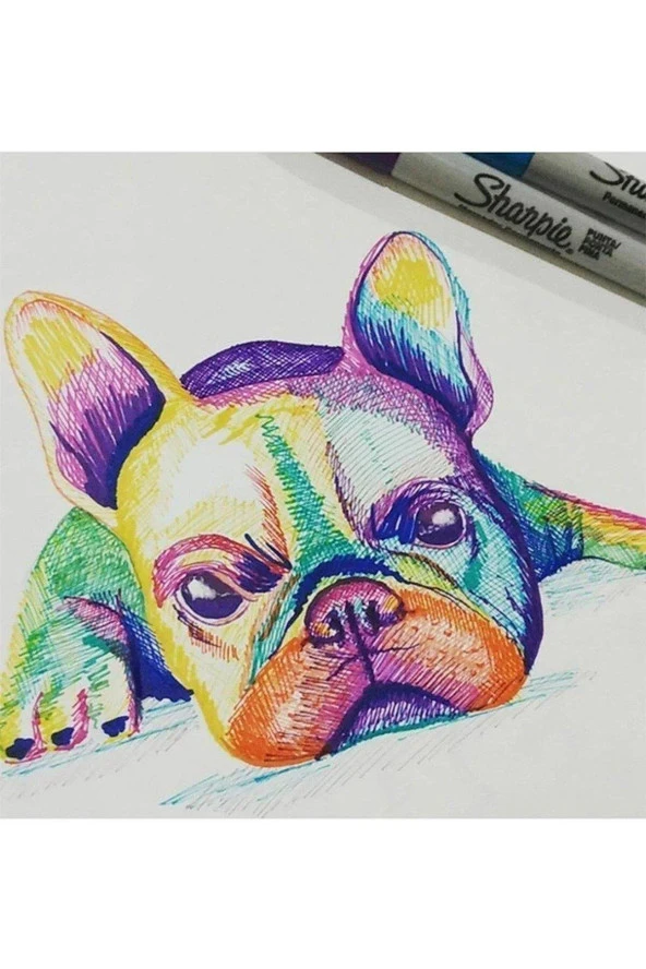 Sharpie Fine Permanent Markör 26 Lı Fine Permanent Markör Kurt - Resim 4