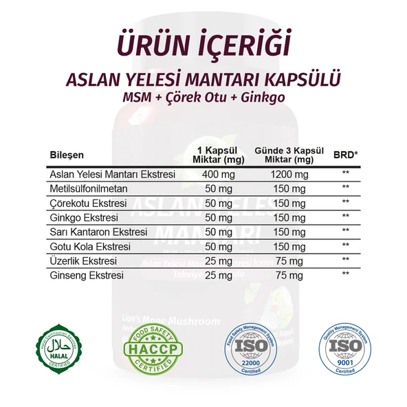 Aslan Yelesi Kapsül (LİON'S MANE MUSHROOMS CAPSULE) 60 Adet - 3