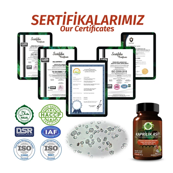 Kaprilik Asit Kapsül (CAPRYLİC ACİD CAPSULE) 60 Adet - 5