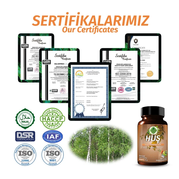 Huş Kapsül (BETULA PENDULA CAPSULE) 60 Adet - Resim 4