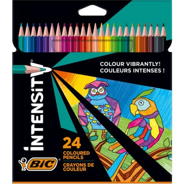 Bic Color Up Intensity Üçgen Kuru Boya 24 Renk